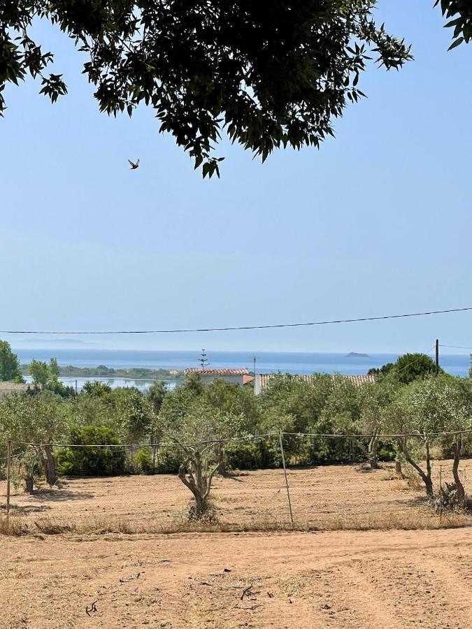 Elizabeth By Antigone Villa Halikounas ภายนอก รูปภาพ